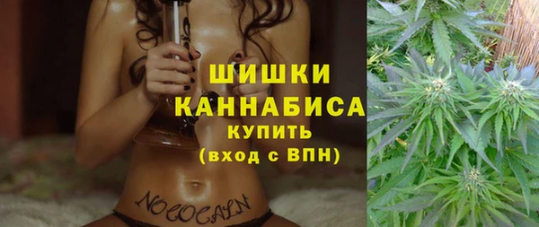 PSILOCYBIN Алексеевка