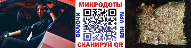 МЕГА как зайти  где продают наркотики  Тейково  Псилоцибиновые грибы ЛСД 